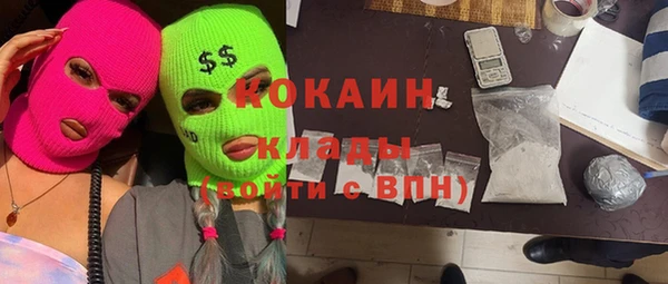 шишки Алексин