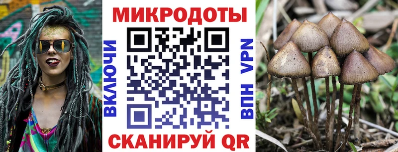 Галлюциногенные грибы Psilocybine cubensis  MEGA зеркало  Волхов 