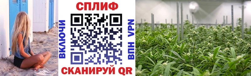 Конопля Amnesia  Волхов 